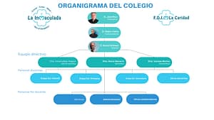 organigrama